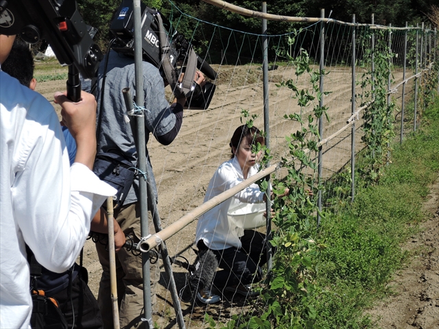 どーんと鹿児島取材の様子を紹介