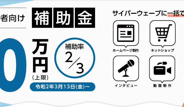 小規模事業化補助金